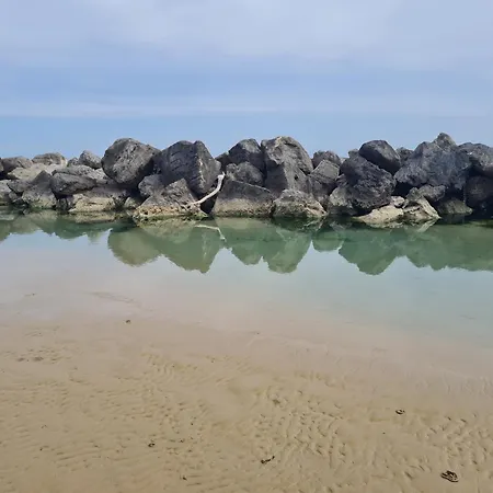 Alcione113 Francavilla Al Mare