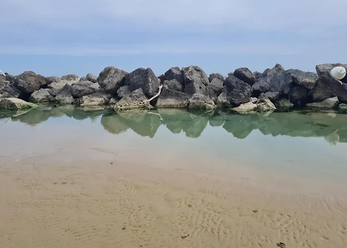 Alcione113 Francavilla Al Mare